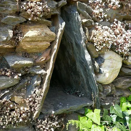 Semesterbostad Casa Escola Velha