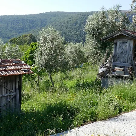 Casa Escola Velha Vale de Carneiro
