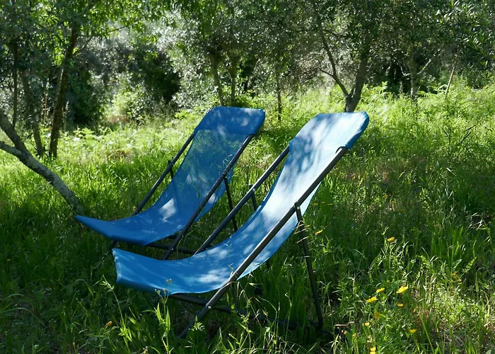 Дом отдыха Casa Escola Velha *